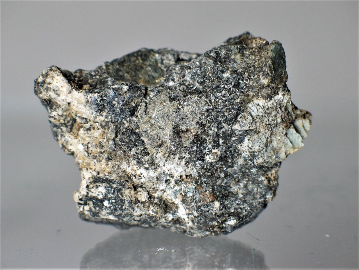 Naujakasite