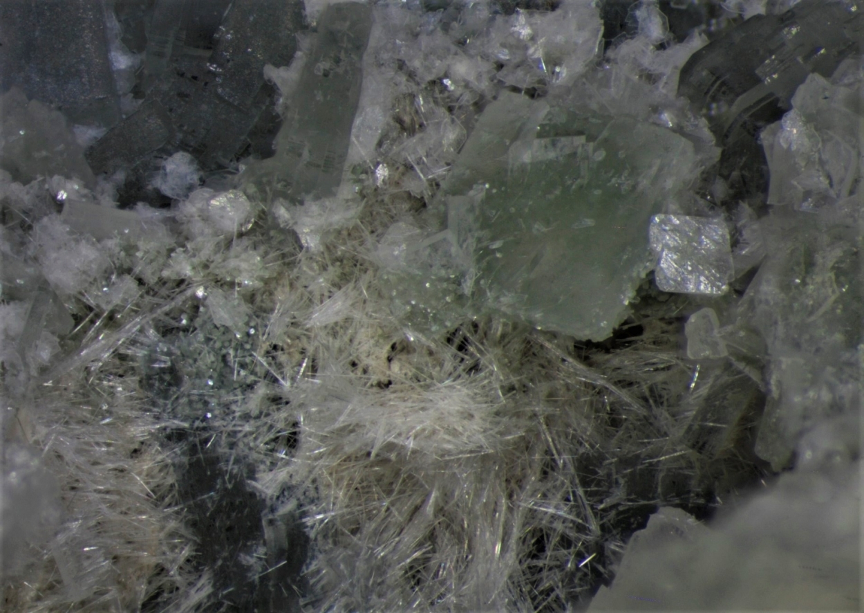 Bavenite On Prehnite