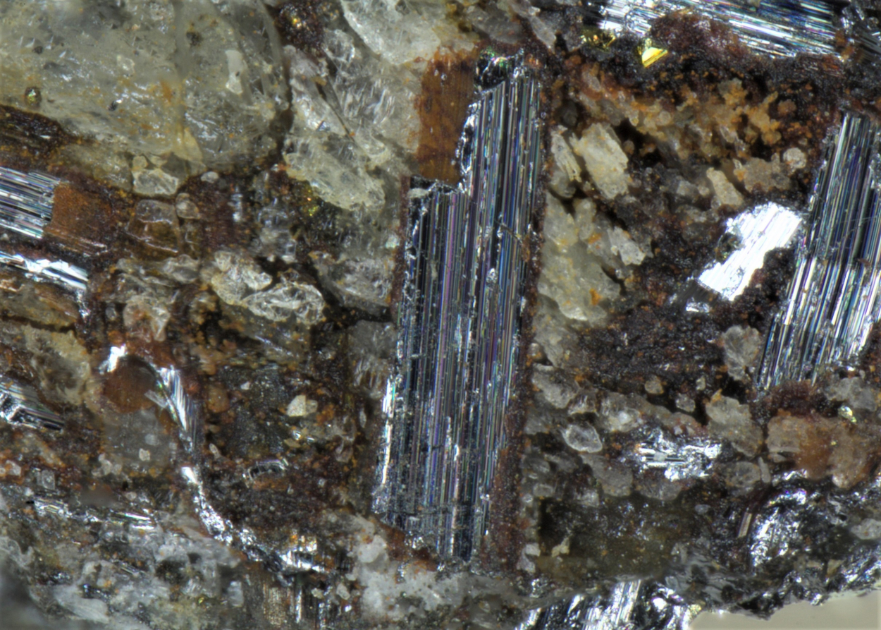 Gustavite