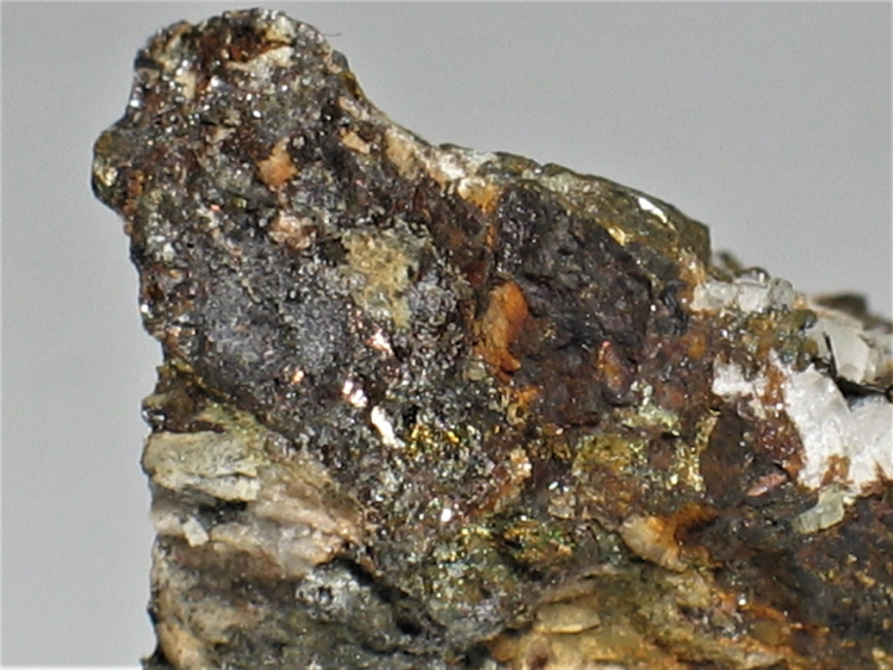 Gustavite