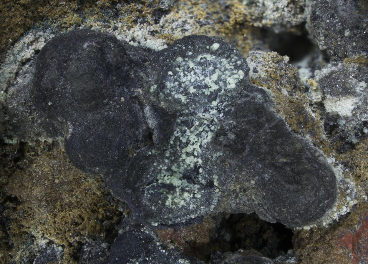 Uraninite & Nickeline
