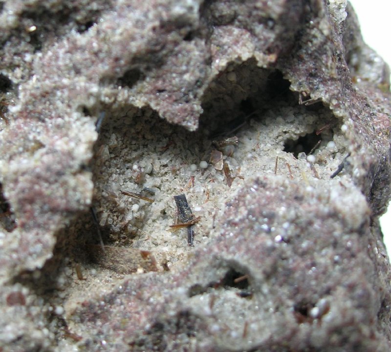 Armalcolite Pseudobrookite Enstatite & Tridymite