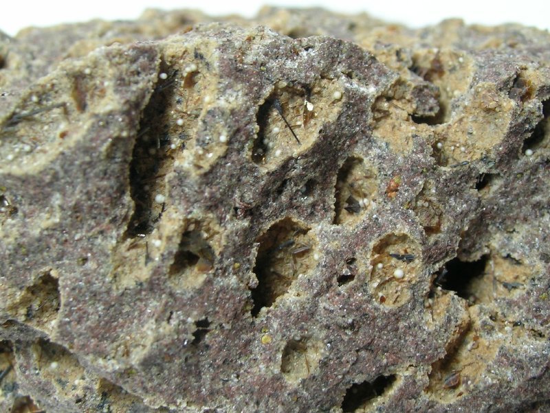 Armalcolite Enstatite & Tridymite