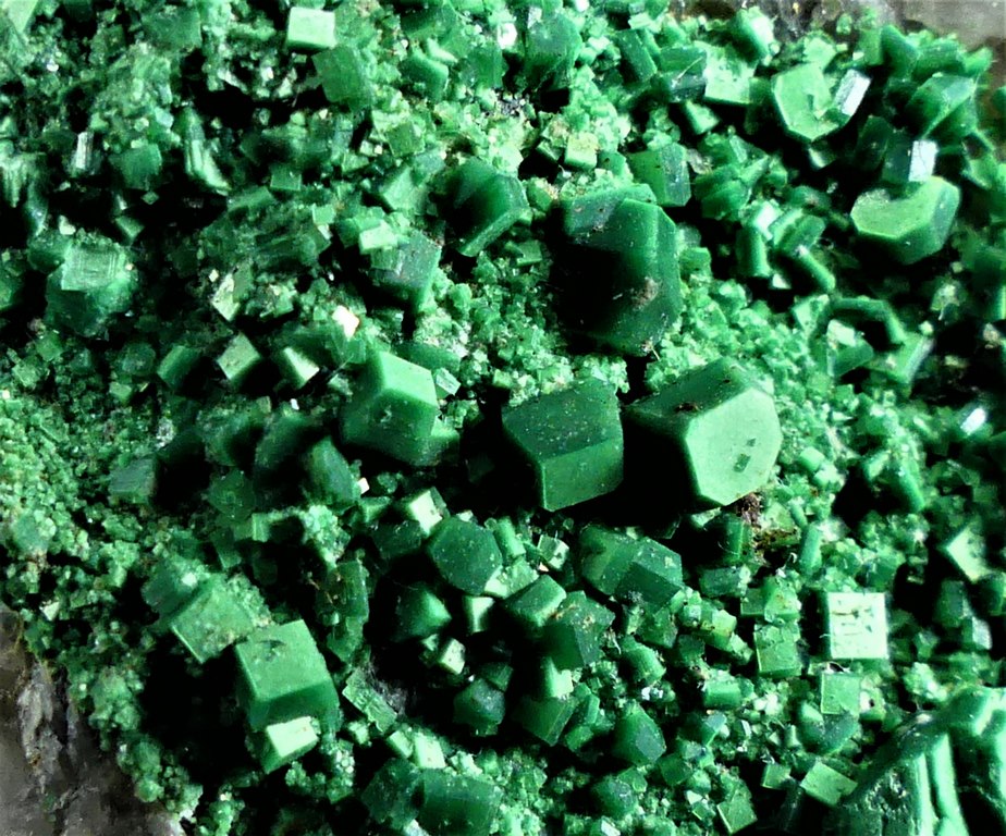 Torbernite