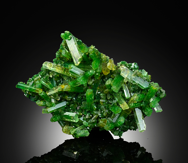 Gypsum Var Selenite