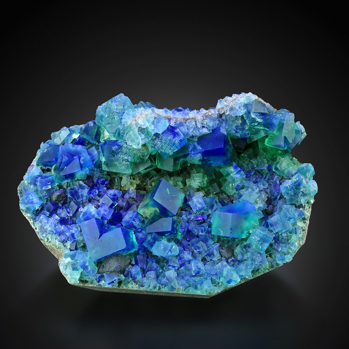 Fluorite With Galena