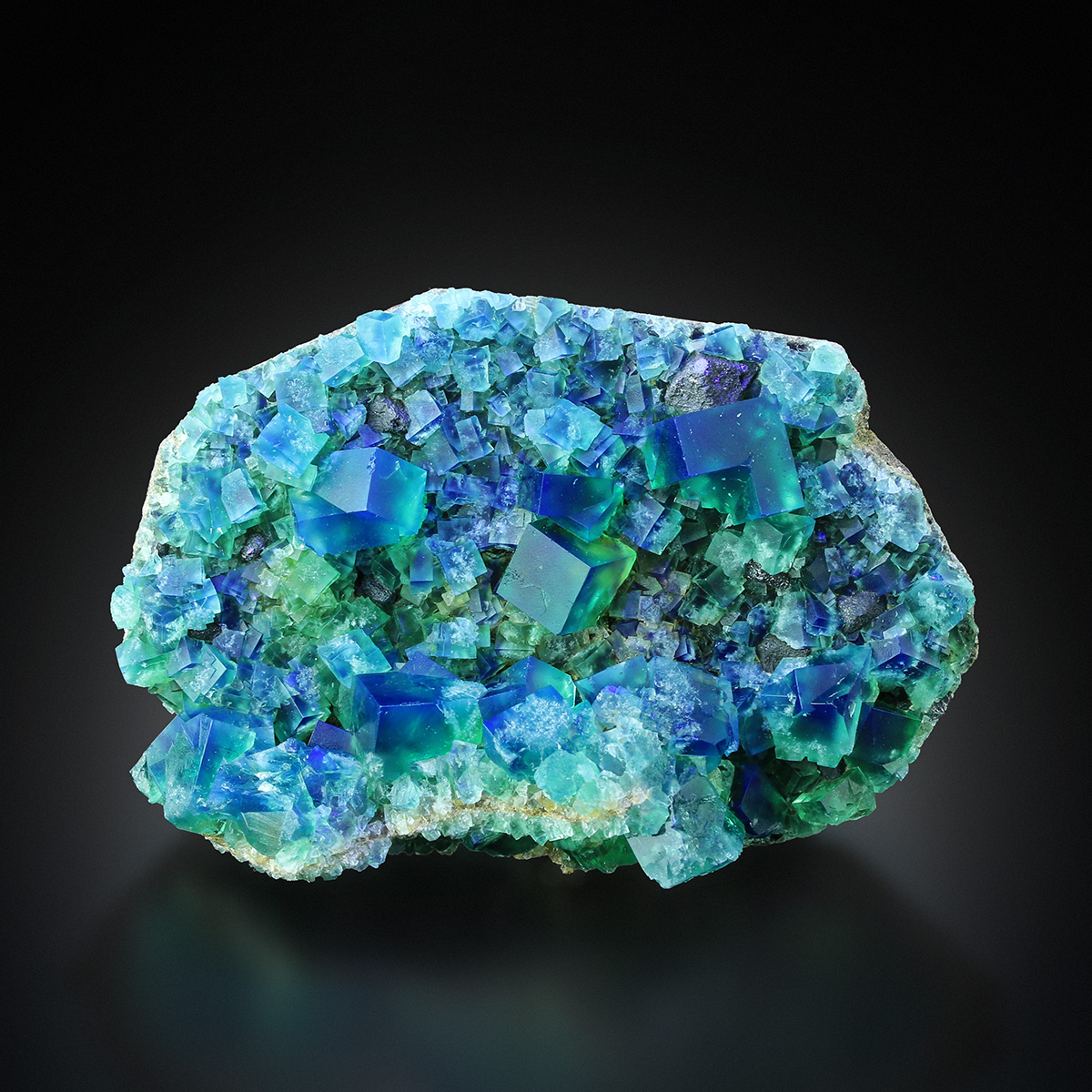 Fluorite With Galena