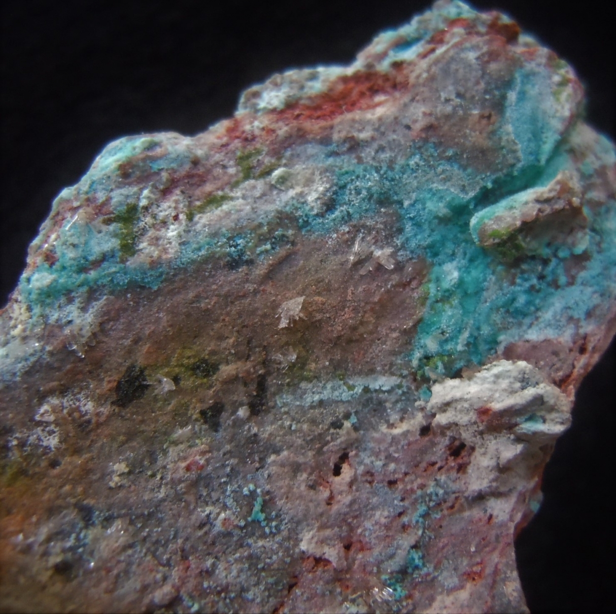 Duftite Rosasite Chrysocolla & Hemimorphite