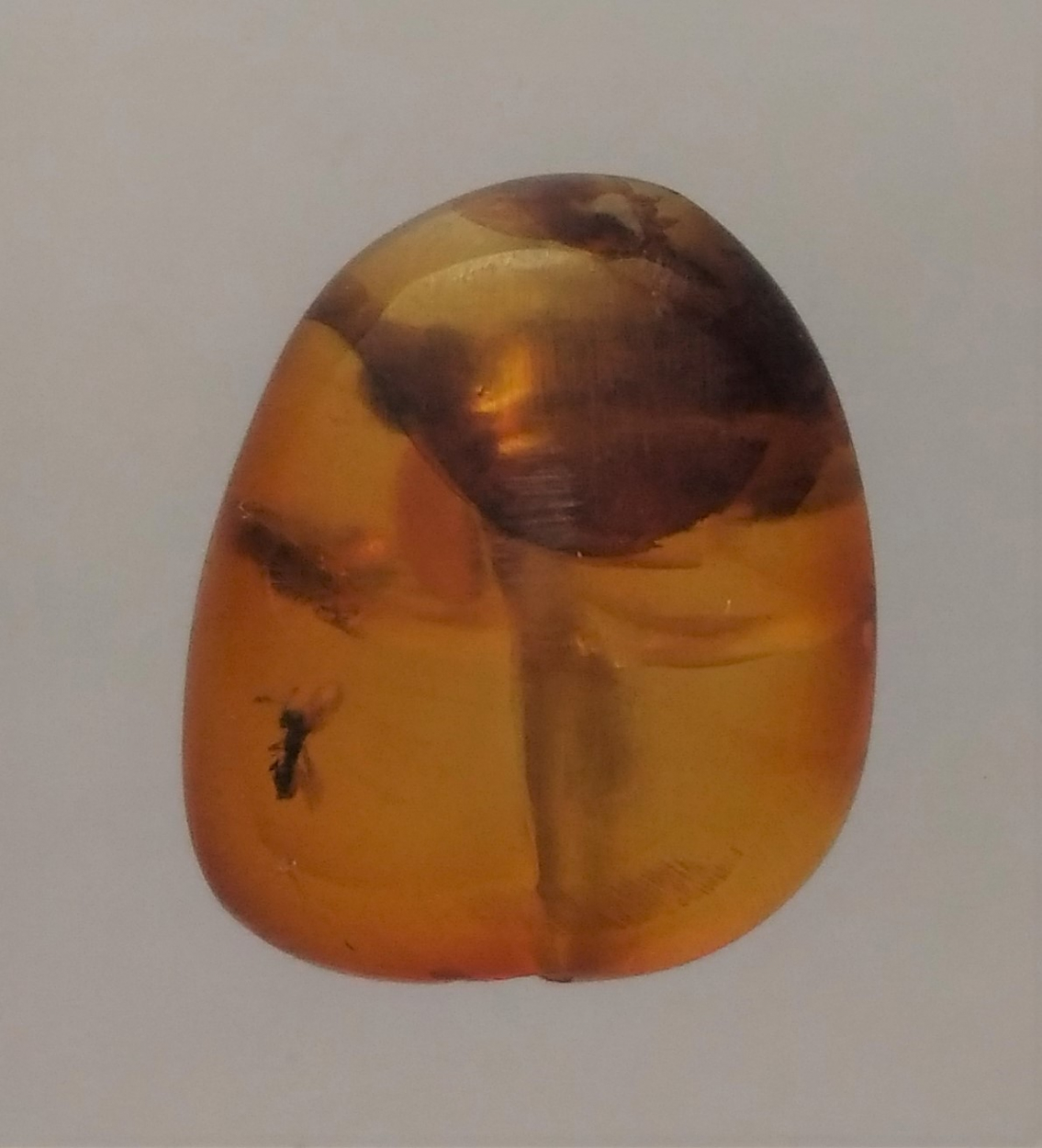 Amber With Inclusions