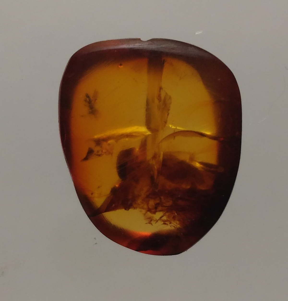 Amber With Inclusions