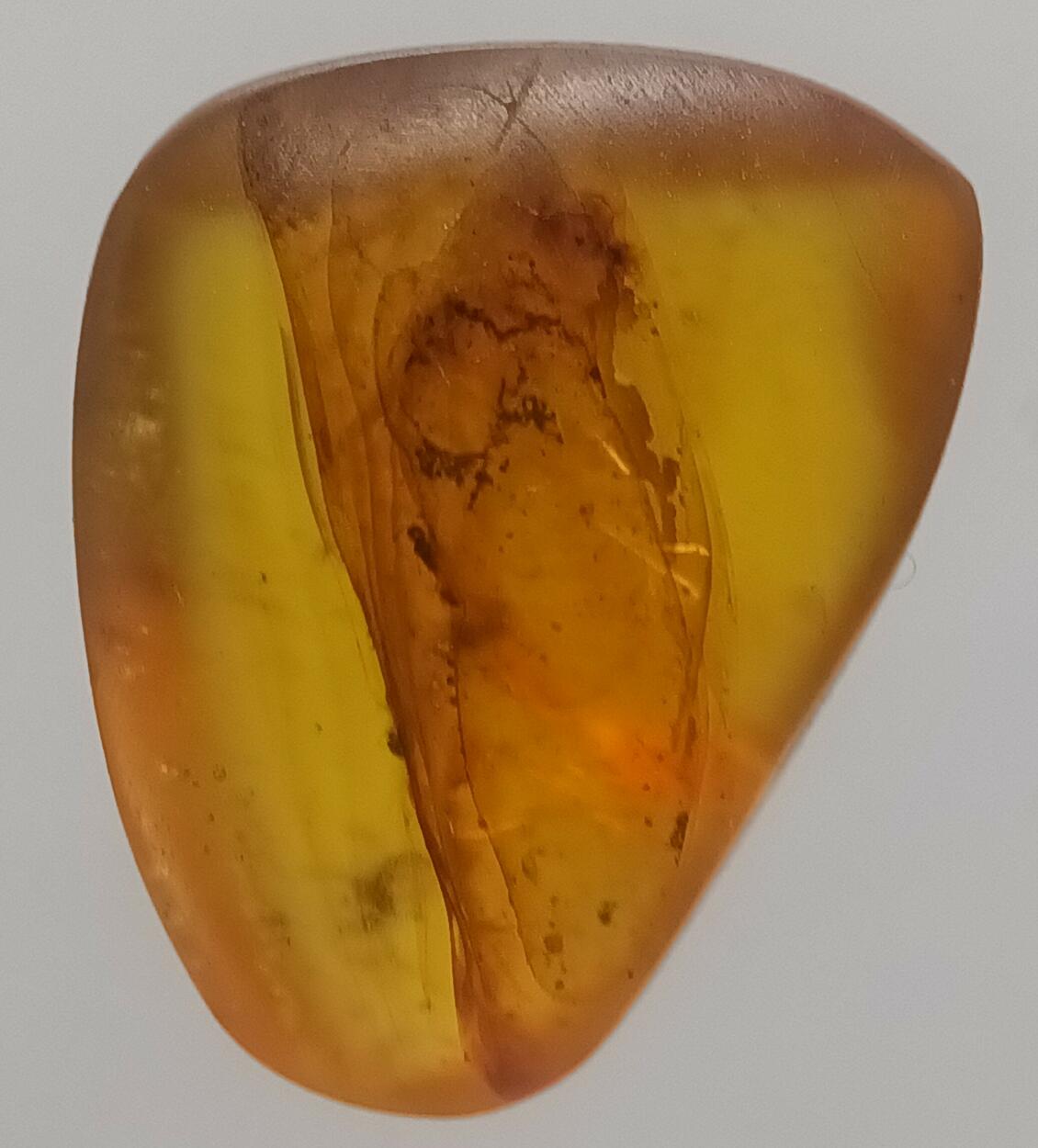 Amber With Inclusions