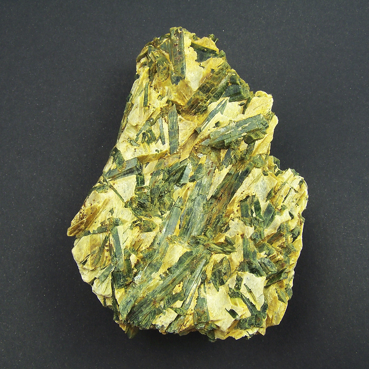 Actinolite