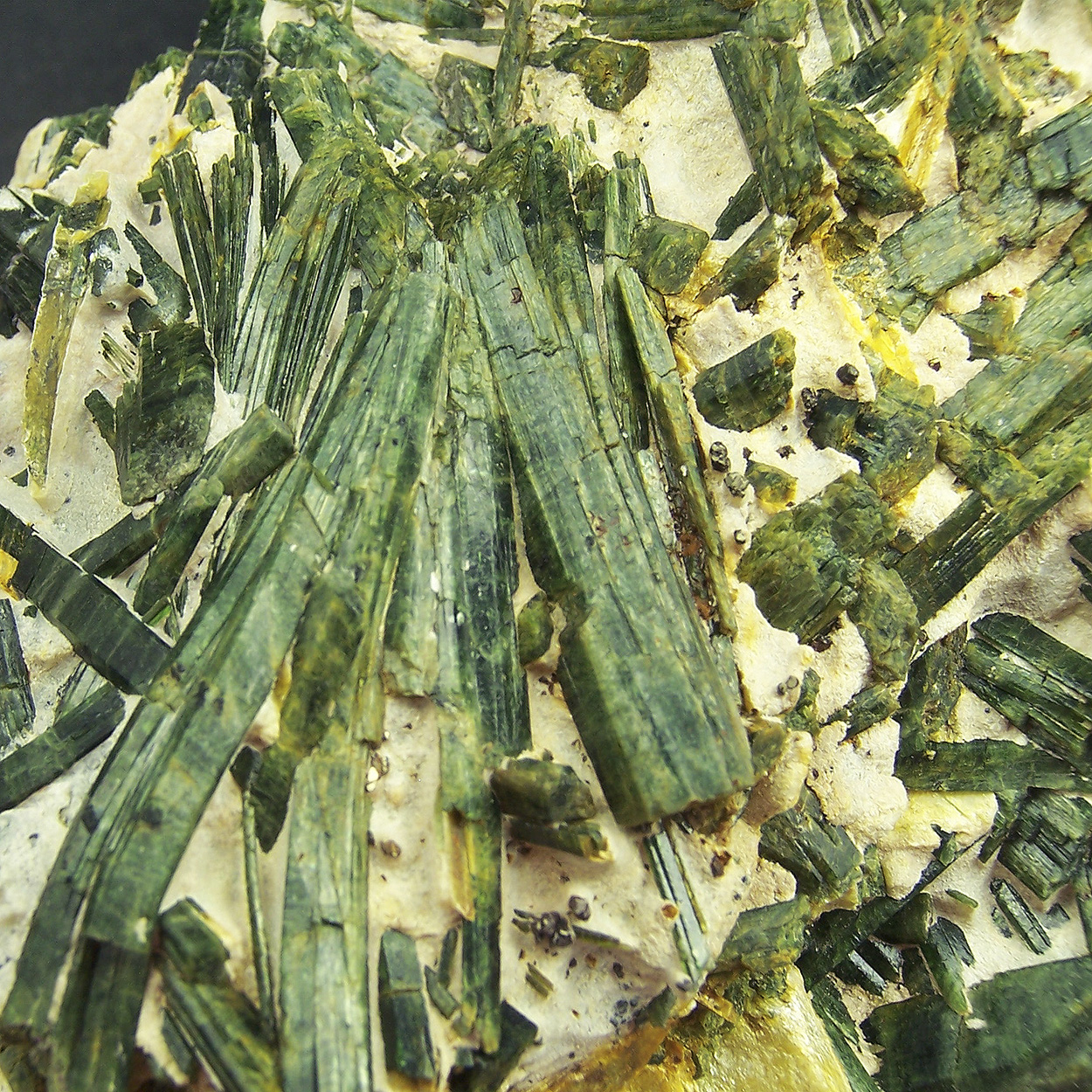 Actinolite