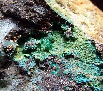 Chalcophyllite & Cyanotrichite