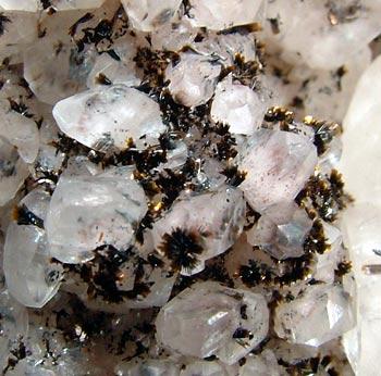 Goethite On Calcite