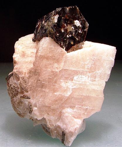 Phlogopite