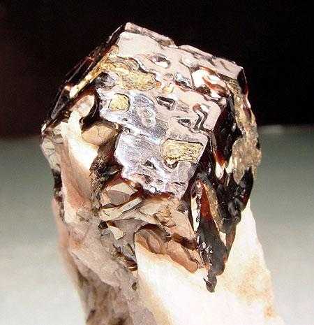Phlogopite