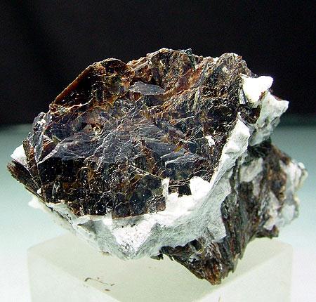 Astrophyllite