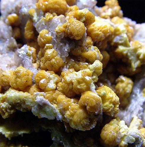 Campylite
