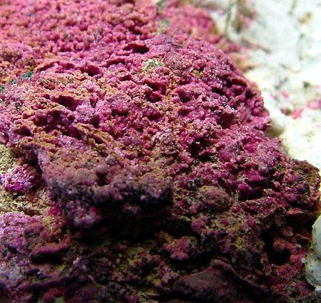 Erythrite