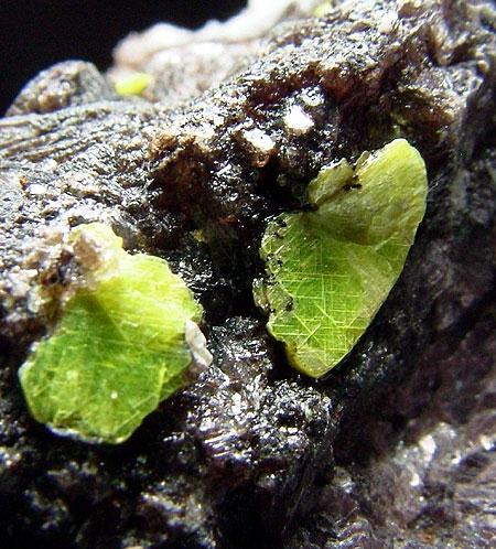 Autunite