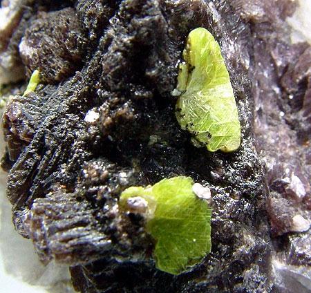 Autunite