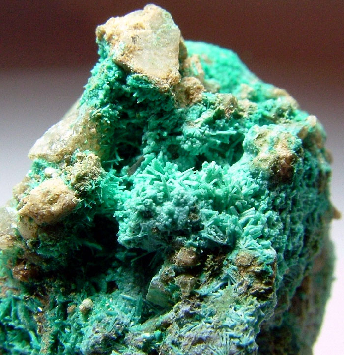 Chrysocolla Psm Botallackite