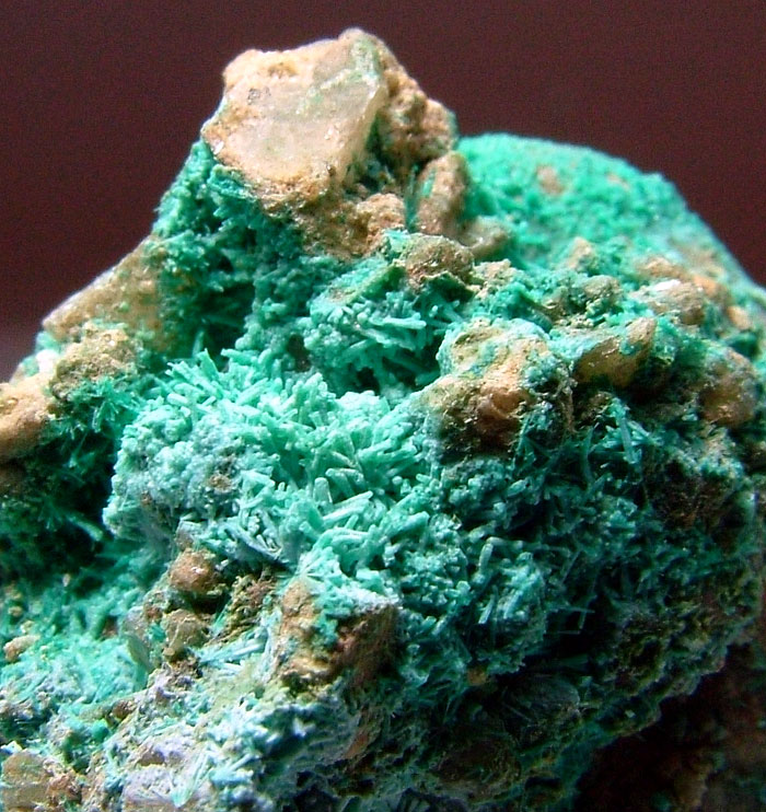 Chrysocolla Psm Botallackite