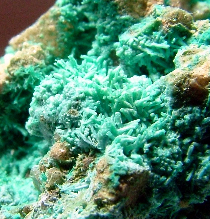 Chrysocolla Psm Botallackite