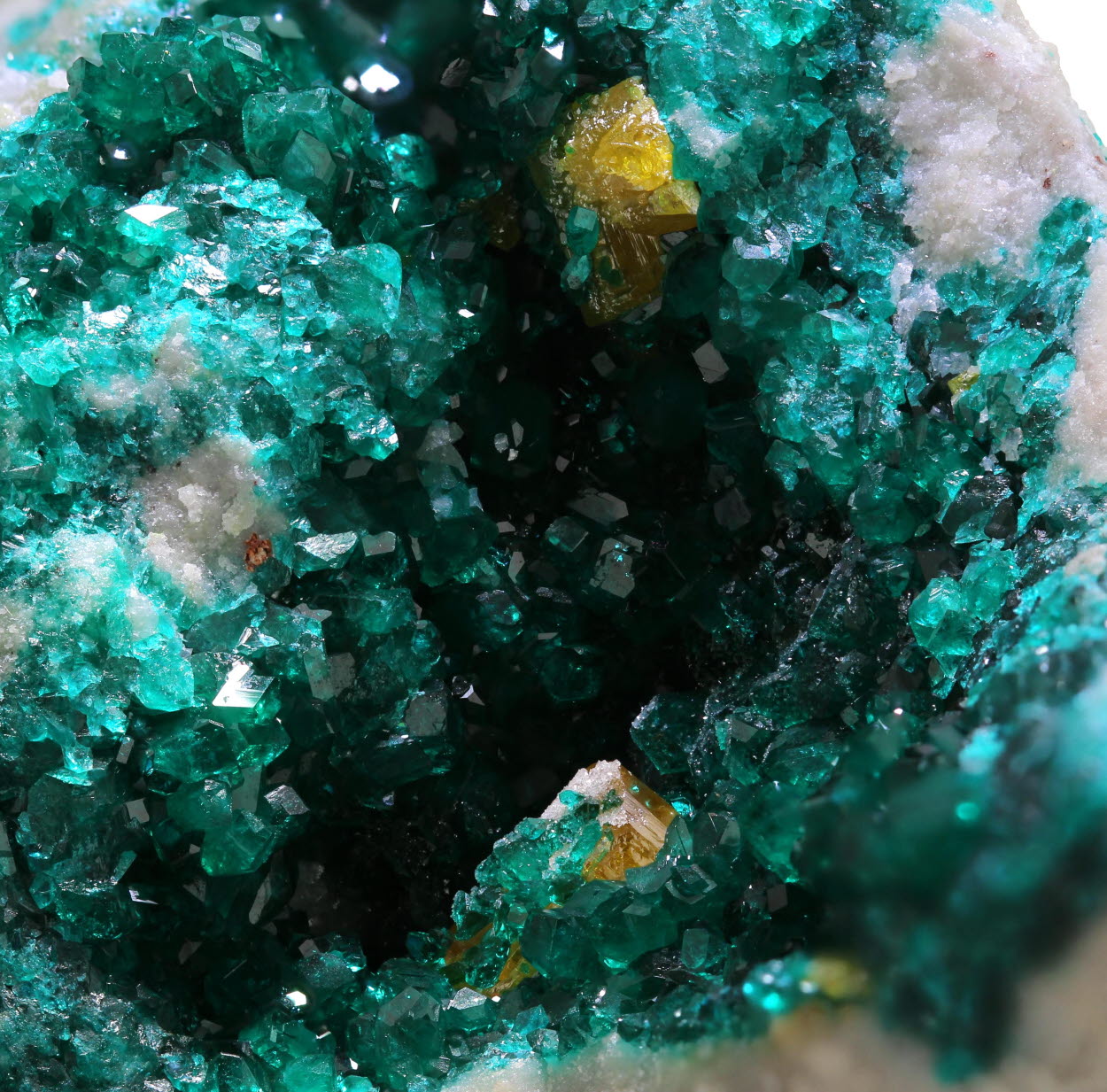 Dioptase & Wulfenite