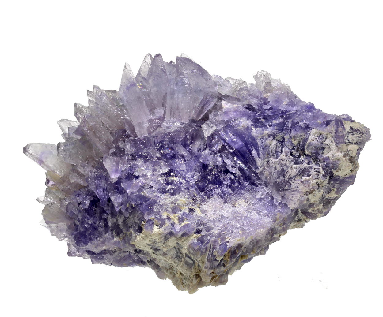 Creedite