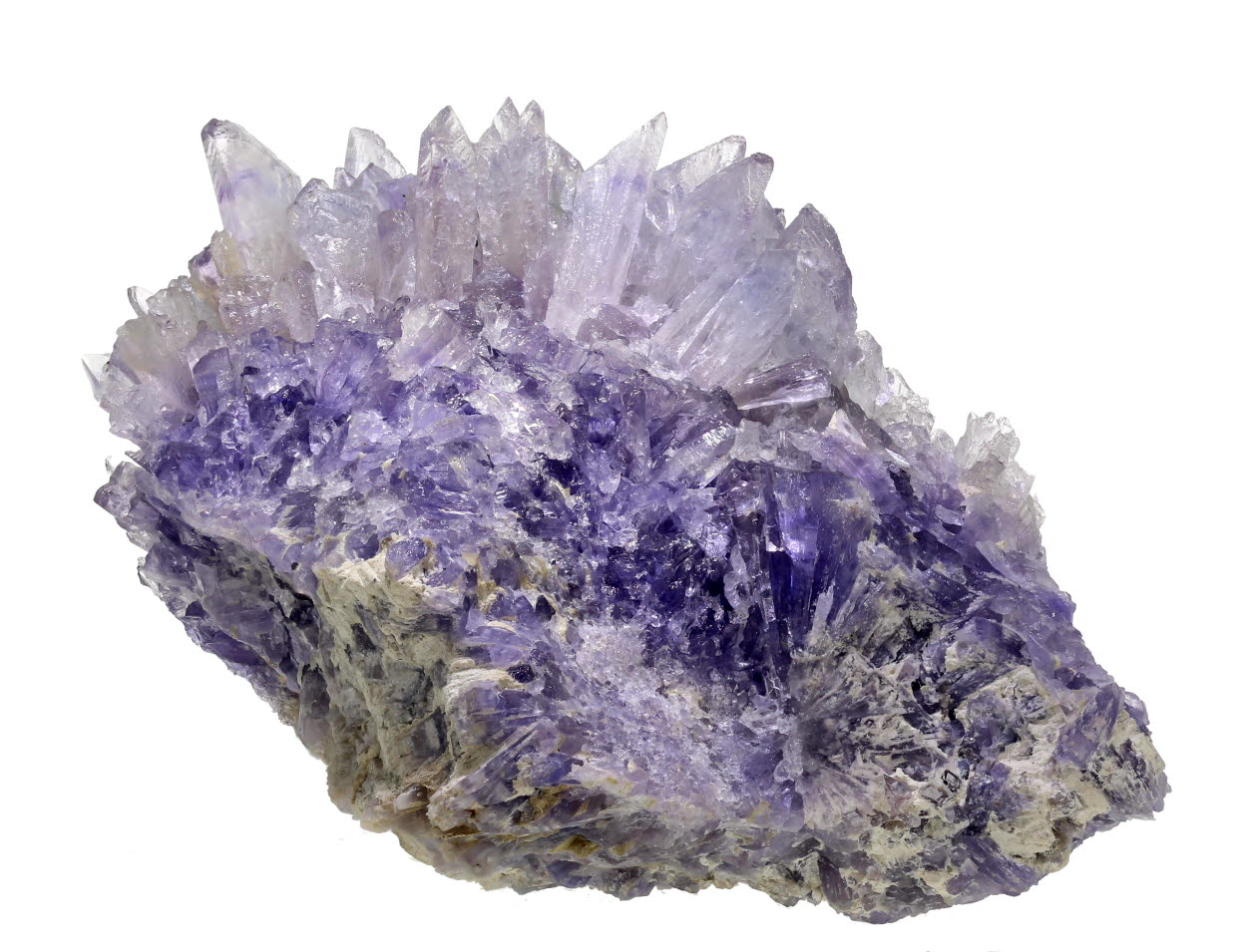 Creedite