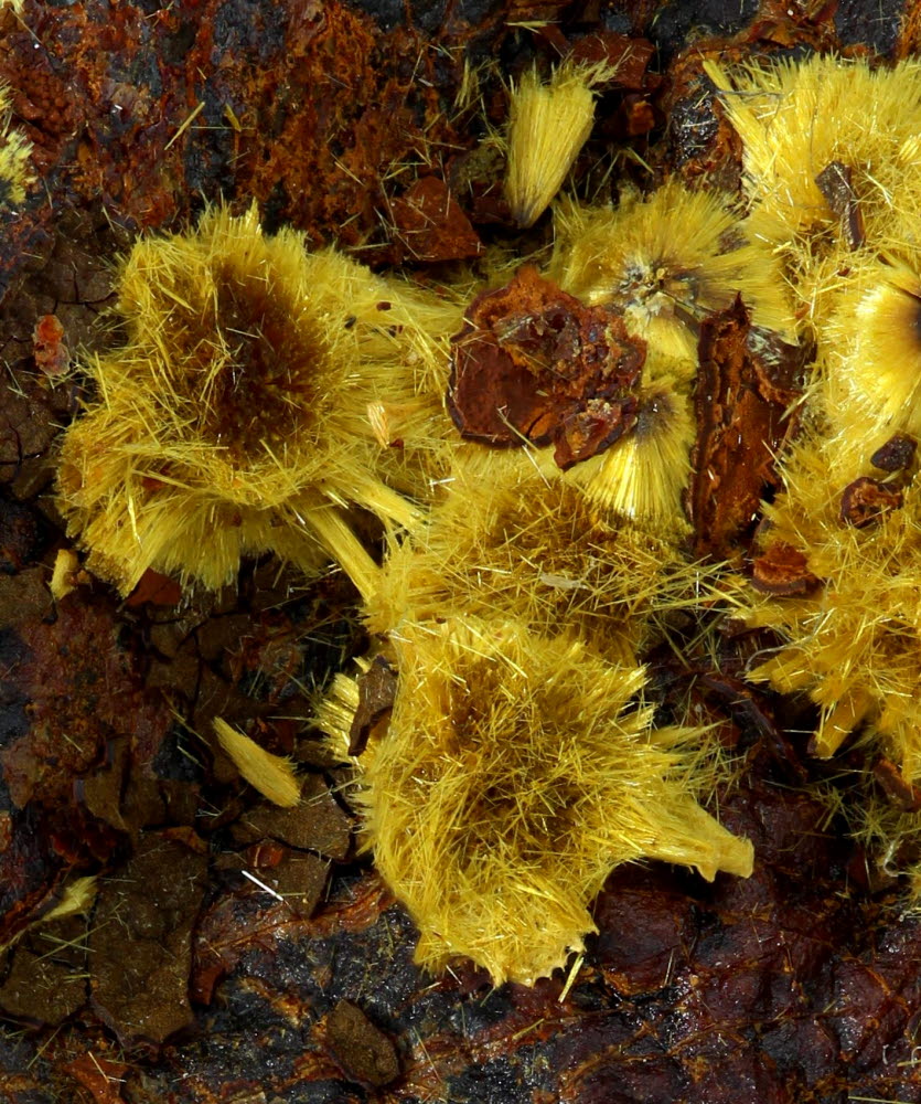 Cacoxenite