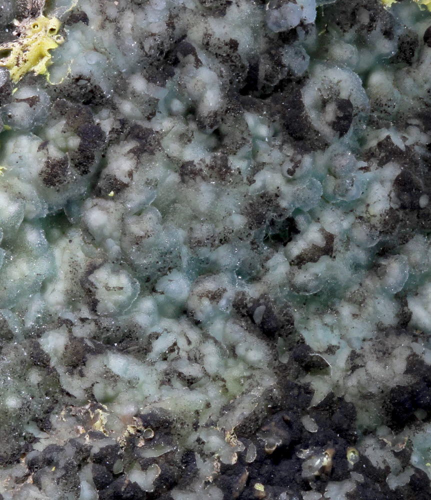 Plumbogummite Mimetite Romanèchite & Baryte