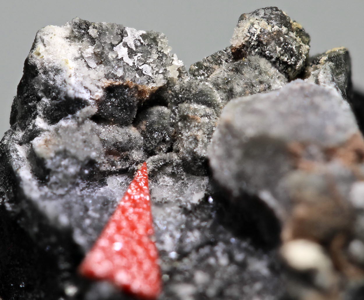 Tuliokite