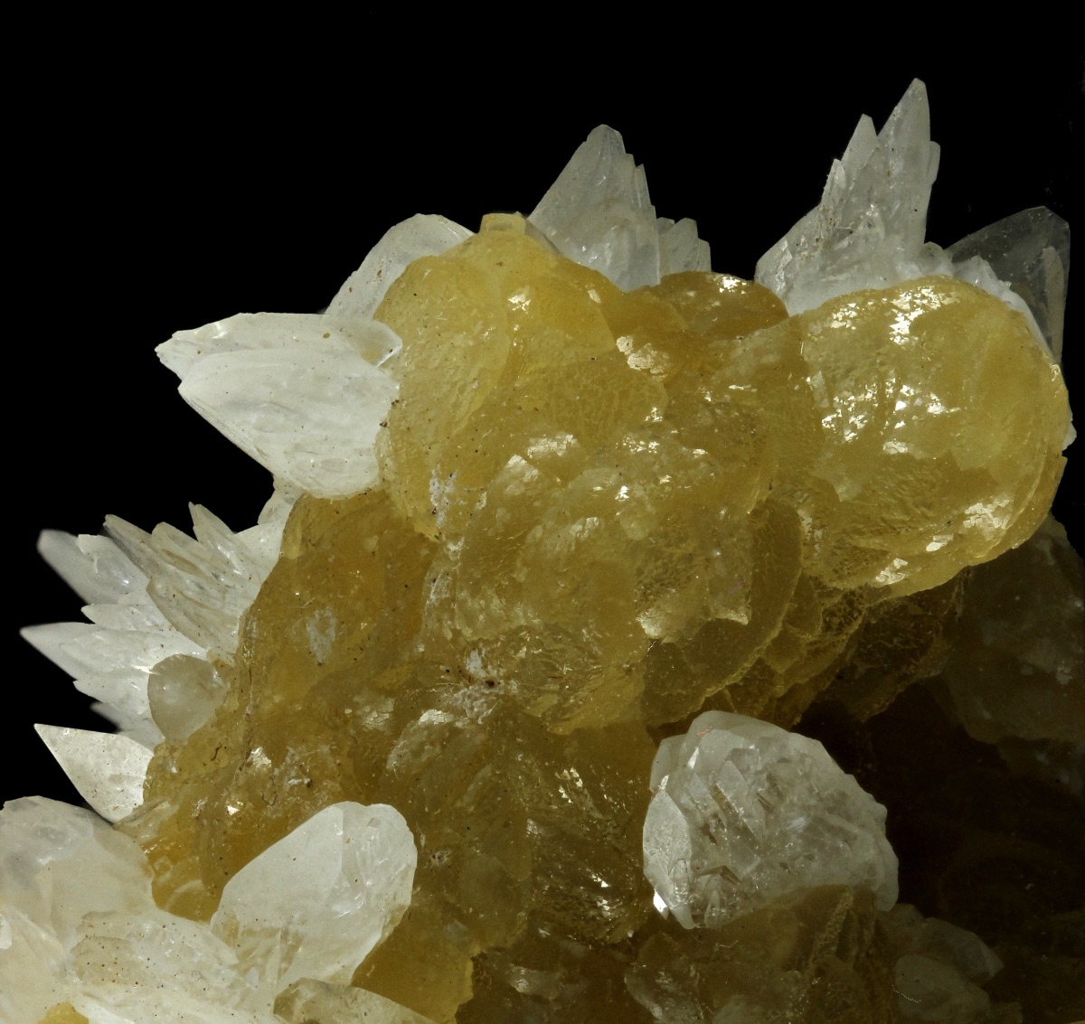 Colemanite On Calcite