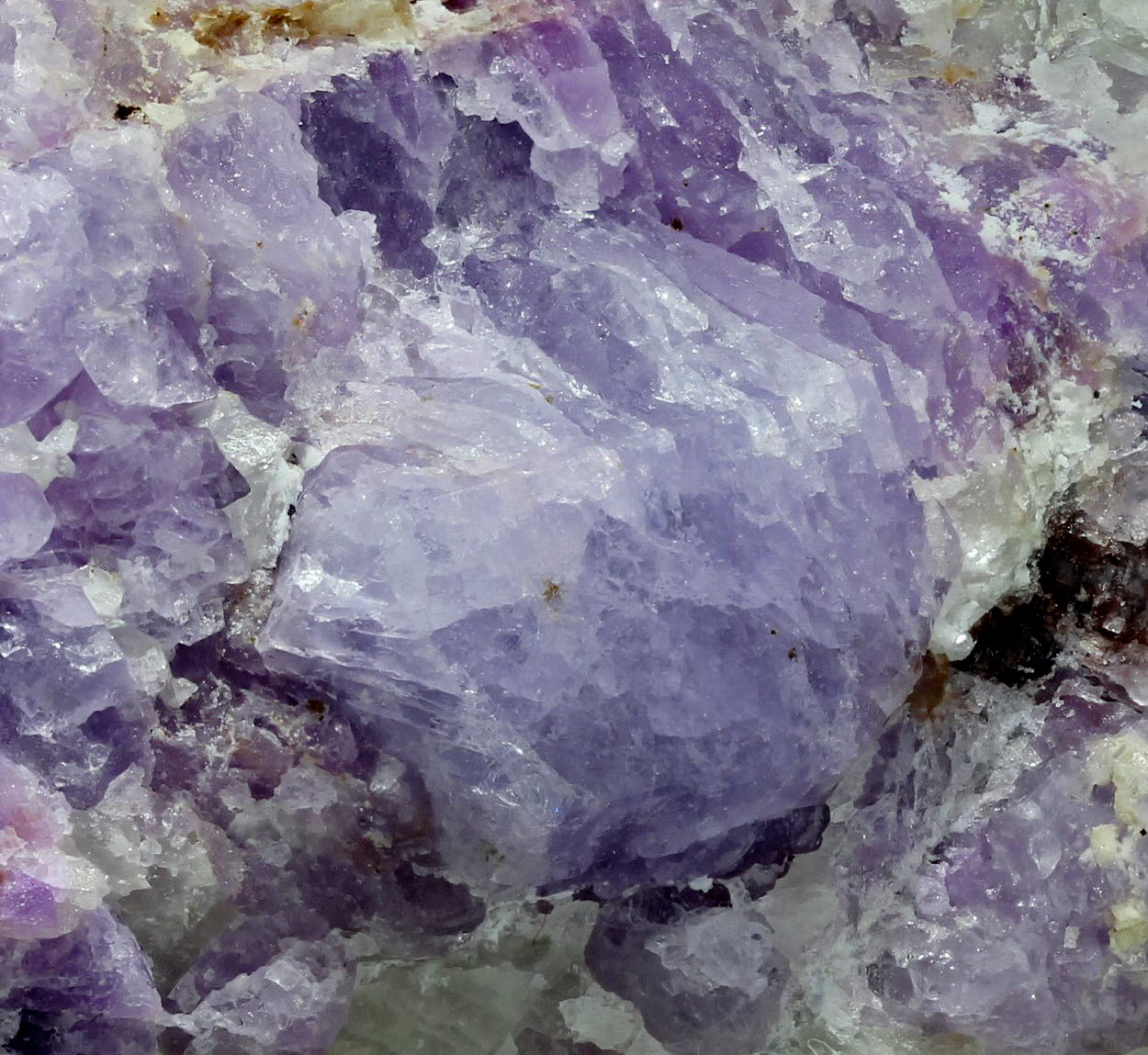 Hackmanite & Winchite