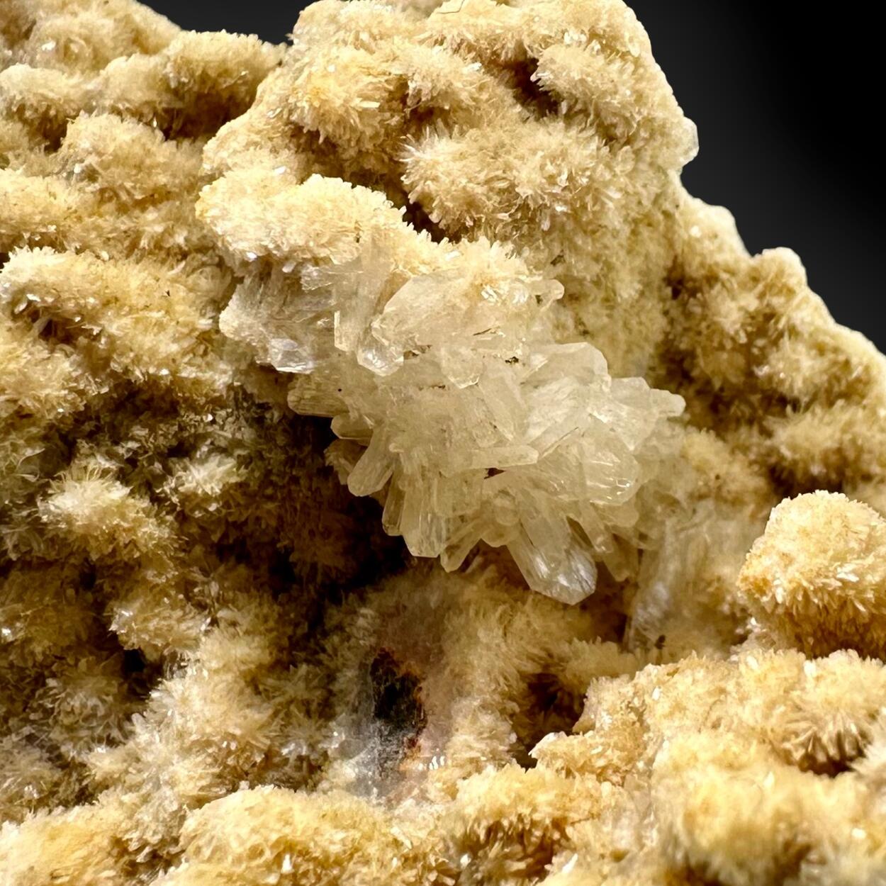 Apophyllite & Stilbite