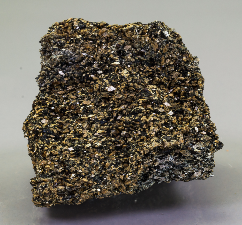 Naujakasite
