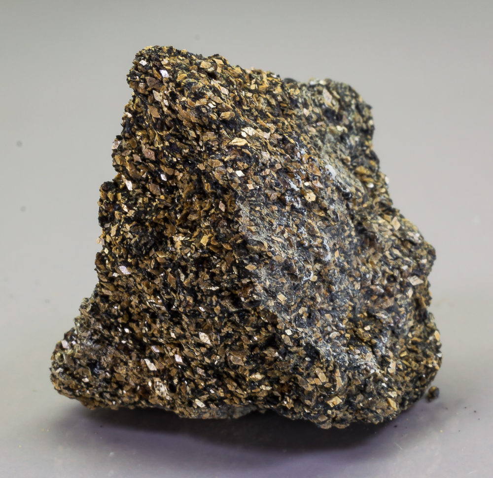 Naujakasite