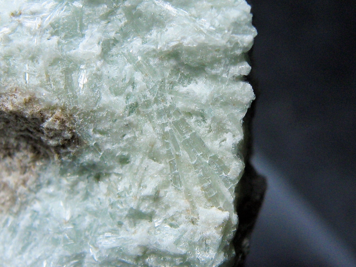 Potassic-fluoro-richterite