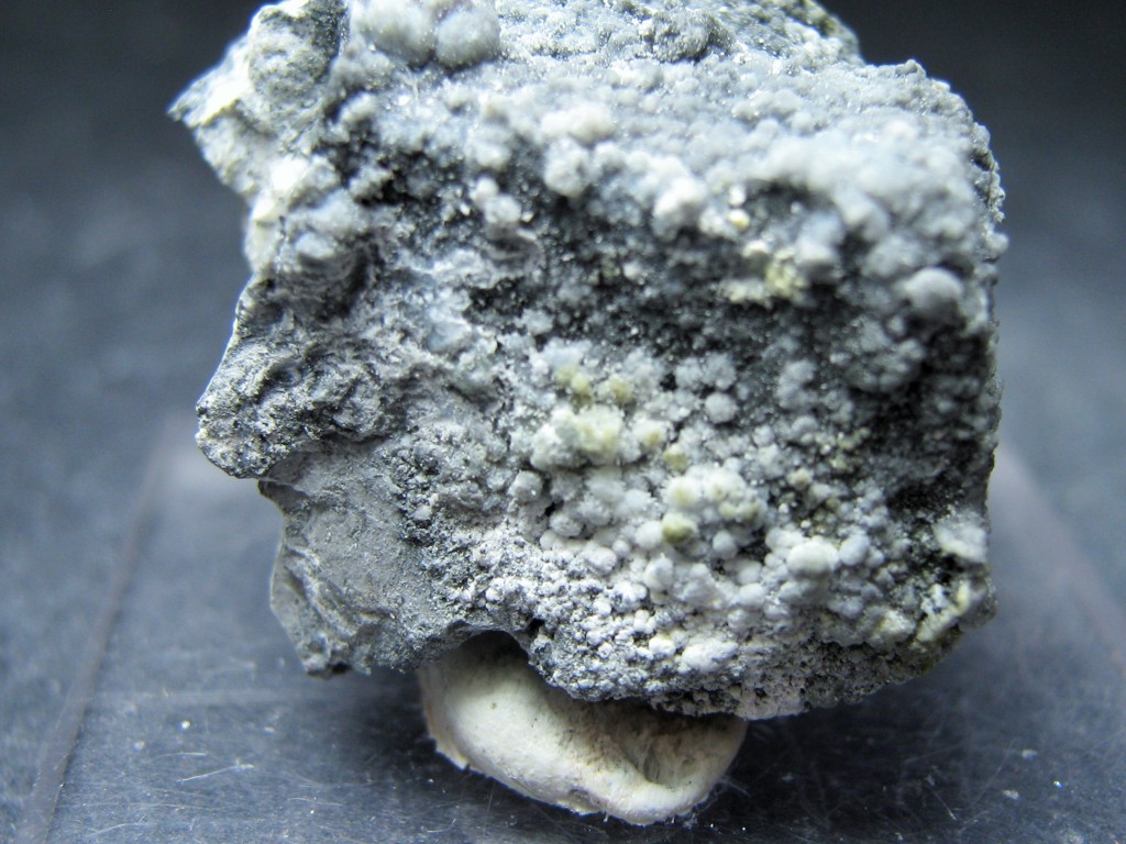 Szomolnokite & Godovikovite