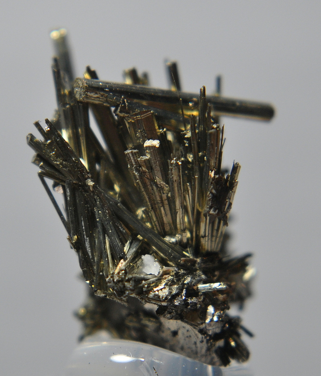 Hauchecornite & Millerite