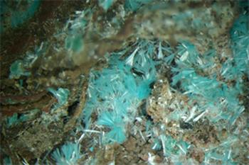 Aurichalcite