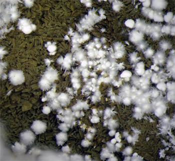 Anapaite & Apatite