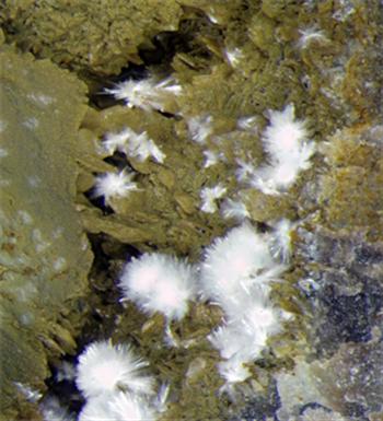 Anapaite & Apatite