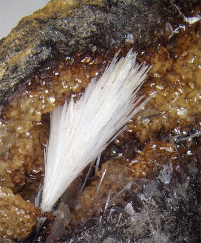 Celestine Siderite & Baryte