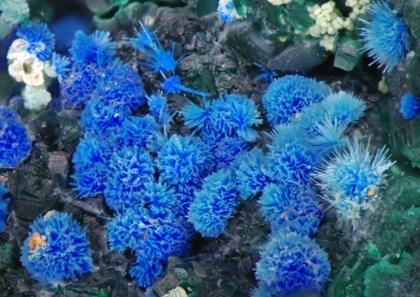 Cyanotrichite Chalcoalumite Brochantite & Antlerite