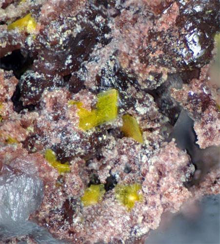 Ianthinite Schoepite & Metauranocircite-I