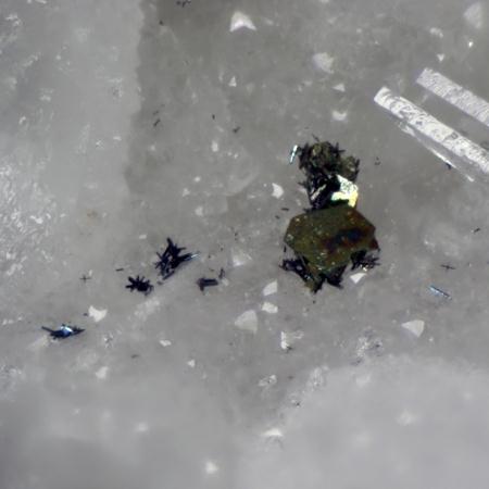 Pearceite-Tac Chalcopyrite & Arsenopyrite